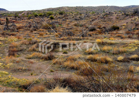 Salt River Recreation Area Arizona Salt River Recreation Area Arizona 140807479