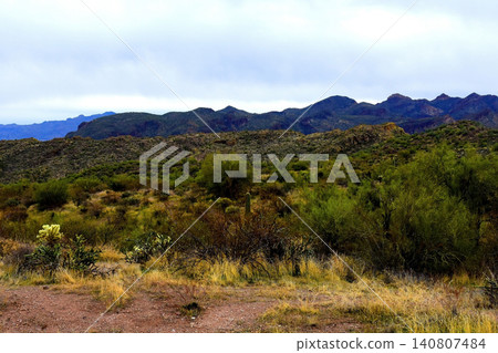 Salt River Recreation Area Arizona Salt River Recreation Area Arizona 140807484