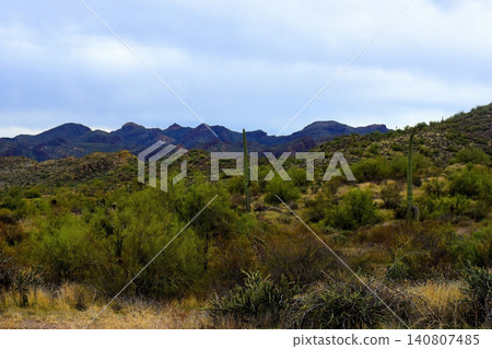 Salt River Recreation Area Arizona Salt River Recreation Area Arizona 140807485