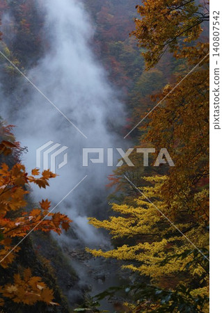 Autumn leaves and mist like a waterfall Autumn leaves and mist like a waterfall 140807542