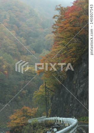 Valley covered with autumn leaves Valley covered with autumn leaves 140807543