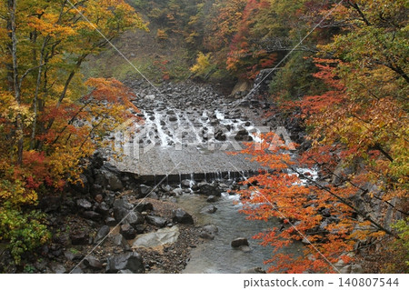 A small waterfall ablaze with autumn colors. A small waterfall ablaze with autumn colors. 140807544