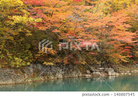 A pond where autumn leaves are reflected A pond where autumn leaves are reflected 140807545