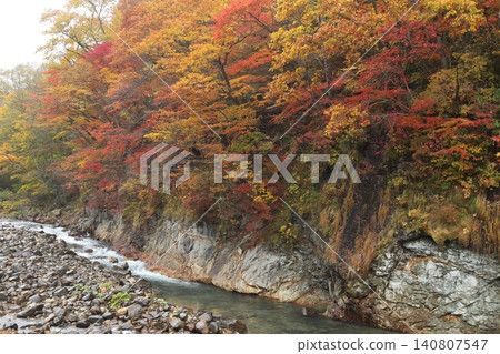 Autumn colored valley 140807547