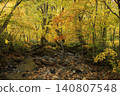 Autumn headwaters 140807548