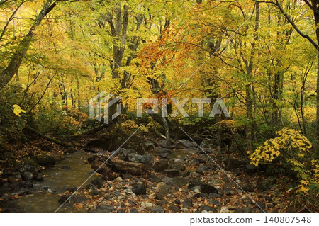 Autumn headwaters 140807548