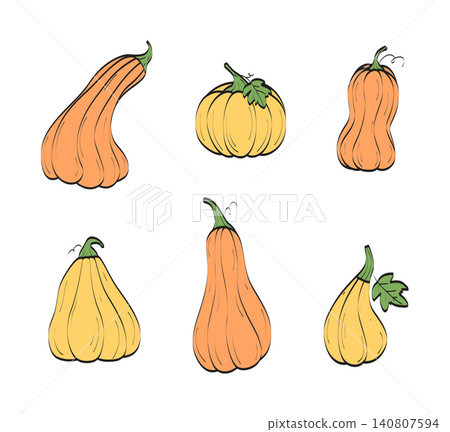 A set of different hand drawn pumpkin varieties. Vector illustration in a flat style. Perfectly for Thanksgiving day, Halloween, greeting cards and posters. 140807594