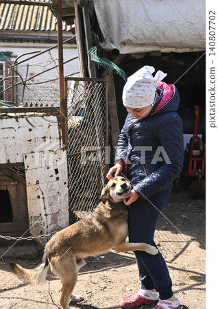 dog jumping energetically toward woman in rural yard. 140807702