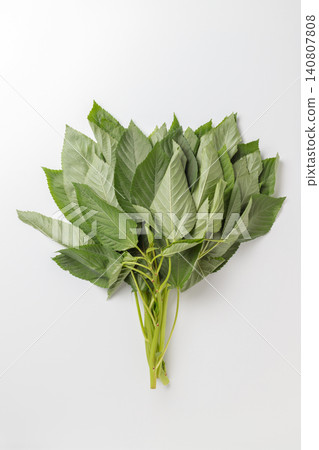 A top-down photograph of molokhia placed against a white background. A top-down photograph of molokhia placed against a white background. 140807808