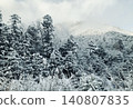 Winter snowscape forest 140807835