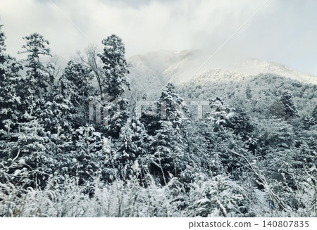 冬季雪景森林 冬季雪景森林 140807835
