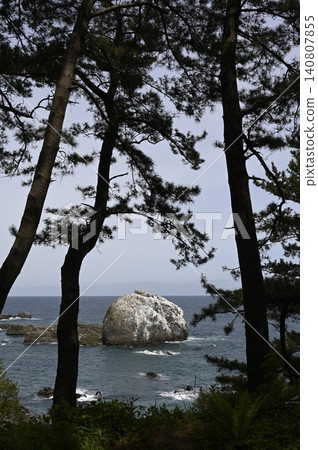 White rock visible beyond the pine forest White rock visible beyond the pine forest 140807855