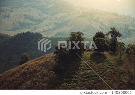 small house alone on a hill in sunset with many trees around small house alone on a hill in sunset with many trees around 140808005
