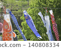 Carp streamers I found in Ashigara 140808334