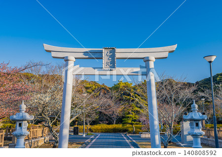 靜岡縣御前崎市櫻池公園的鳥居和梅花景色。 140808592