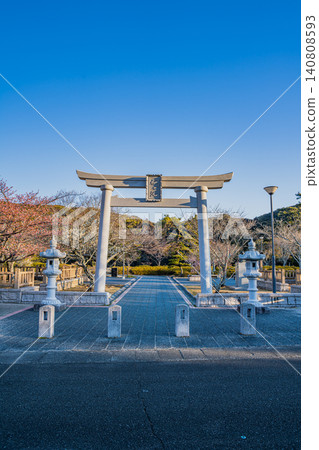 靜岡縣御前崎市櫻池公園的鳥居和梅花景色。 140808593