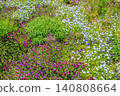 A flowerbed with purple and blue flowers in bloom. 140808664