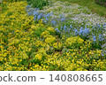 A flowerbed with yellow, blue, and white flowers in bloom. 140808665
