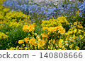A flowerbed with yellow and blue flowers in bloom. 140808666