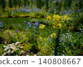 A flowerbed with yellow flowers in bloom 140808667