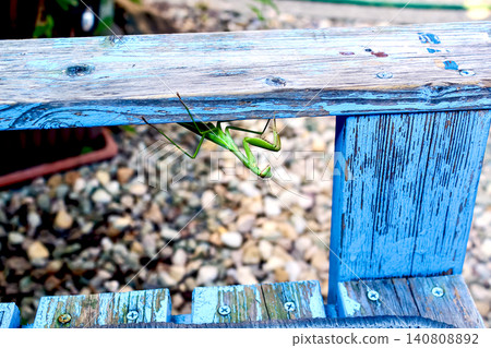 [Kagawa] Summer on Ogijima Island: Blue benches and large praying mantises 140808892