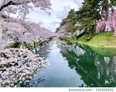 四月,盛開的櫻花倒映在弘前公園的外護城河中,構成了一幅美麗的春日旅遊景象。 四月,盛開的櫻花倒映在弘前公園的外護城河中,構成了一幅美麗的春日旅遊景象。 140808909