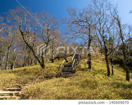 A wooden staircase leading to the deep blue sky — Masaki Pass, Odaigahara A wooden staircase leading to the deep blue sky — Masaki Pass, Odaigahara 140809070
