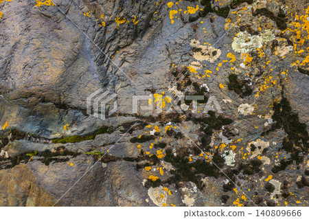 Close-up of Weathered Rock Surface with Lichen and Moss Close-up of Weathered Rock Surface with Lichen and Moss 140809666