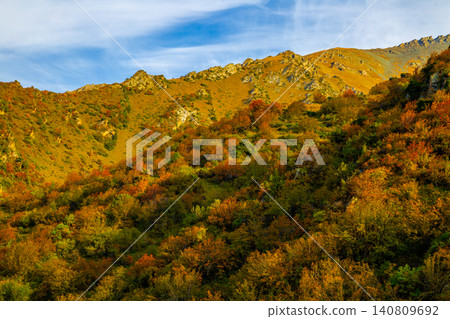 Vibrant Autumn Foliage on Mountain Slope in Kyrgyzstan Vibrant Autumn Foliage on Mountain Slope in Kyrgyzstan 140809692