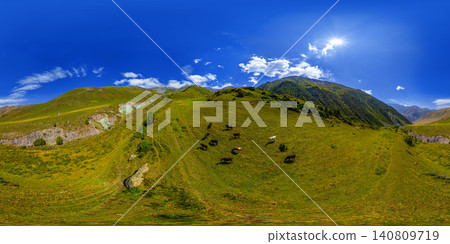360 Panorama: Green Mountain Pasture with Grazing Cows Under Sunny Blue Sky 360 Panorama: Green Mountain Pasture with Grazing Cows Under Sunny Blue Sky 140809719