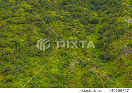 Lush Green Mountainside with Rocky Outcroppings in Kyrgyzstan Lush Green Mountainside with Rocky Outcroppings in Kyrgyzstan 140809727