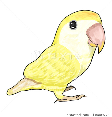 Lovebird 2 Lovebird 2 140809772
