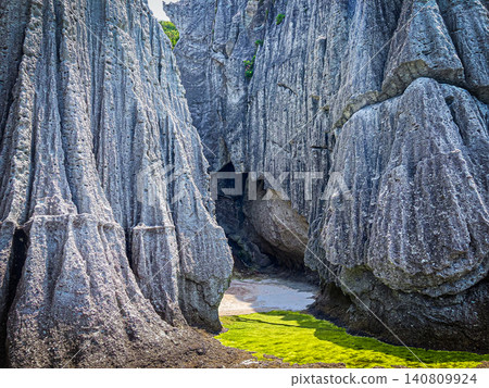 In July, at Hotokegaura, delicate pink flowers bravely bloom on the sheer cliffs of massive white-green tuff. In July, at Hotokegaura, delicate pink flowers bravely bloom on the sheer cliffs of massive white-green tuff. 140809924