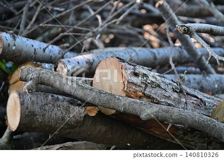 Firewood image (for camping, etc.) Firewood image (for camping, etc.) 140810326