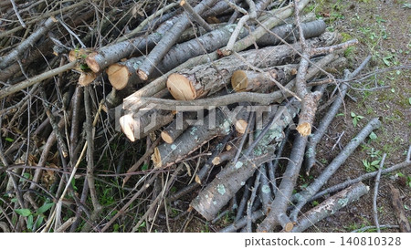 Firewood image (for camping, etc.) Firewood image (for camping, etc.) 140810328