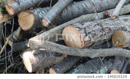 Firewood image (for camping, etc.) Firewood image (for camping, etc.) 140810329