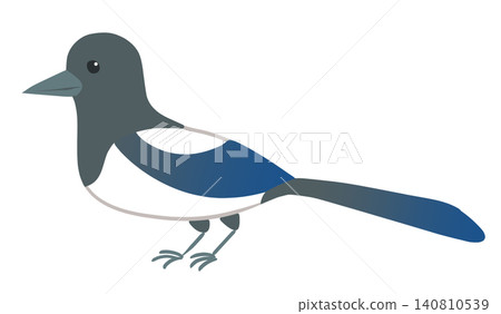 Magpie Magpie 140810539
