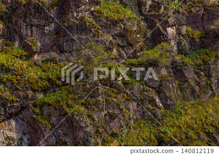 Rugged rock face adorned with moss and shrubs in nature 140812119