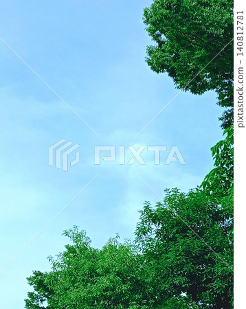 一幅以夏日藍天和翠綠植物為主題的精美構圖:可用作智慧型手機壁紙和社交媒體垂直螢幕橫幅的背景素材(垂直版)。 一幅以夏日藍天和翠綠植物為主題的精美構圖:可用作智慧型手機壁紙和社交媒體垂直螢幕橫幅的背景素材(垂直版)。 140812781