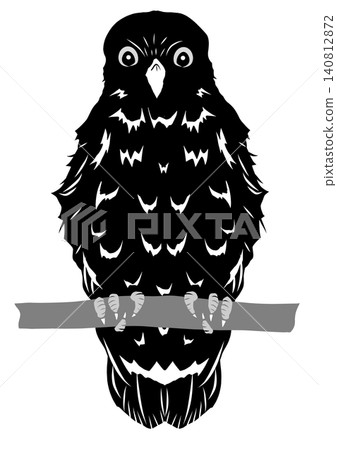A paper-cut style silhouette illustration of a brown hawk owl perched on a tree branch. Black background, transparent. A paper-cut style silhouette illustration of a brown hawk owl perched on a tree branch. Black background, transparent. 140812872