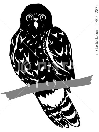 A paper-cut style illustration of a brown hawk owl perched on a tree, in a modern Japanese black silhouette. A paper-cut style illustration of a brown hawk owl perched on a tree, in a modern Japanese black silhouette. 140812873