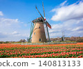 A blue sky view of a field of red tulips and windmills. 140813133