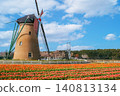 A blue sky view of a field of red tulips and windmills. 140813134