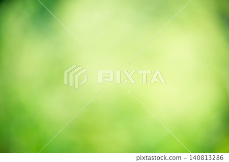 Blurred green background light in the center and dark green edge. Blurred plants. Blurred green background light in the center and dark green edge. Blurred plants. 140813286