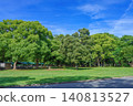 A park with fresh greenery under a clear blue sky – a refreshing early summer natural scene. 140813527