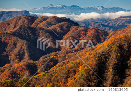Autumn foliage in the mountains and a distant view of the Yatsugatake Mountains from Ura-Myogi and Choto-no-Atama. Autumn foliage in the mountains and a distant view of the Yatsugatake Mountains from Ura-Myogi and Choto-no-Atama. 140813605