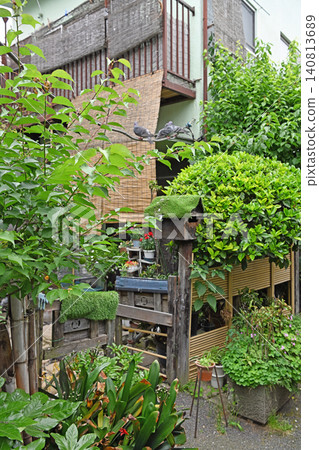 舊城區的蔥鬱綠意，竹簾和巷弄花園，為谷中、根津、千駄木的生活增添了一絲清涼。 140813689