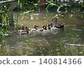 Yamadaike Park 140814366