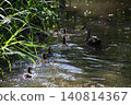 Yamadaike Park 140814367