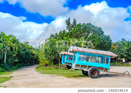 A landscape of water buffalo carts and subtropical plants on Yubu Island in the Yaeyama Islands of Okinawa Prefecture. A landscape of water buffalo carts and subtropical plants on Yubu Island in the Yaeyama Islands of Okinawa Prefecture. 140814614